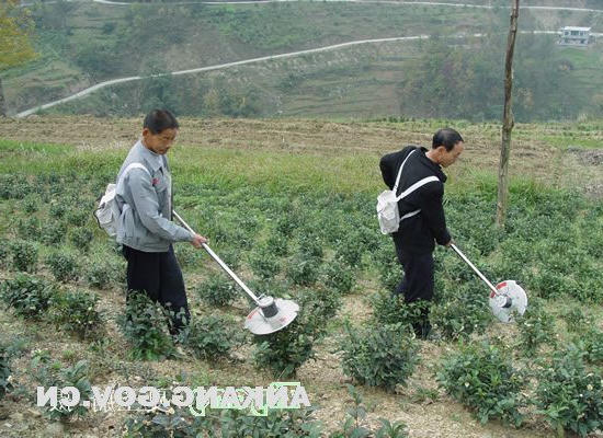 皇冠线上体育