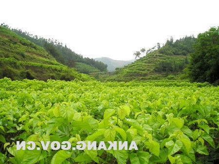 皇冠线上体育