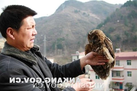 皇冠线上体育