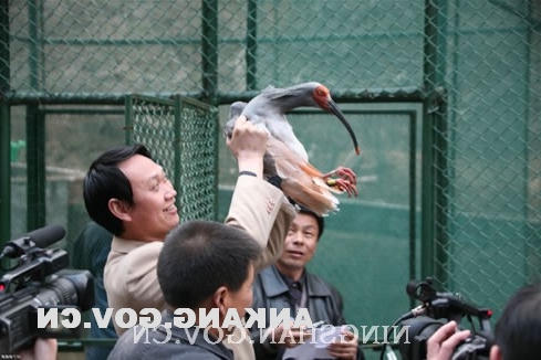 皇冠线上体育