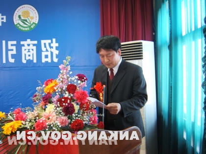 皇冠线上体育