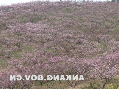 皇冠线上体育