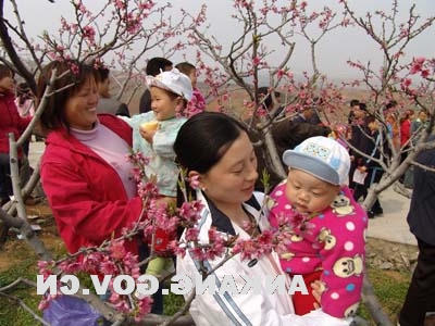 皇冠线上体育