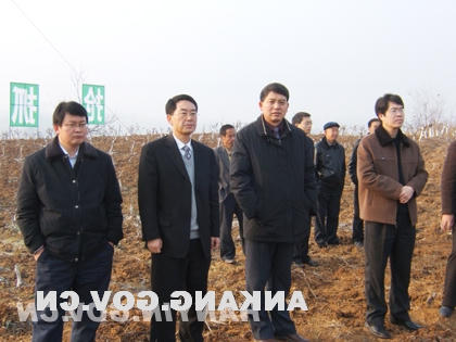 皇冠线上体育