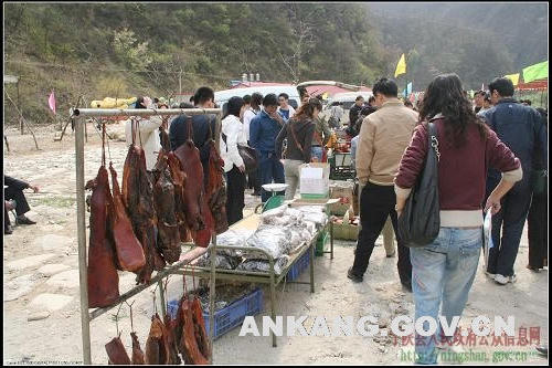 皇冠线上体育