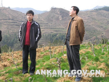 皇冠线上体育