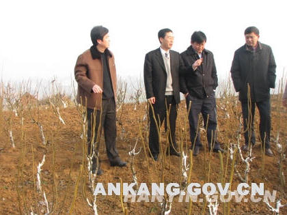 皇冠线上体育