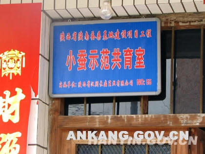 皇冠线上体育