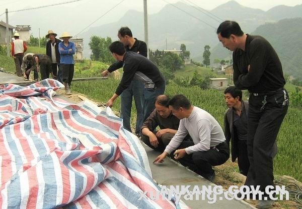 皇冠线上体育