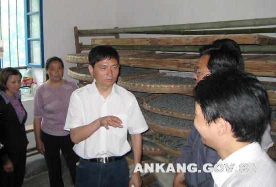 皇冠线上体育