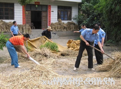 皇冠线上体育