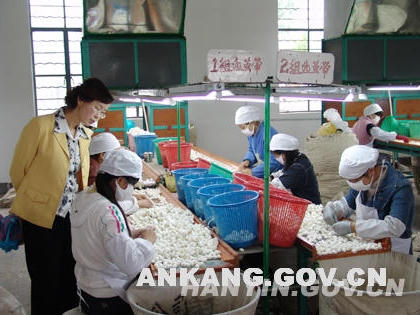 皇冠线上体育