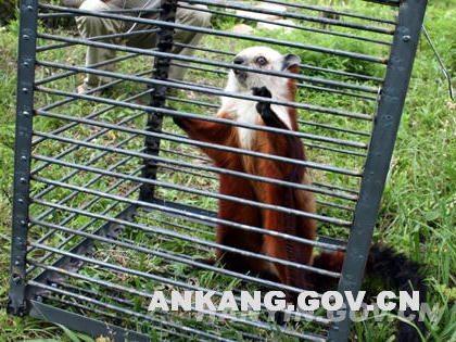 皇冠线上体育