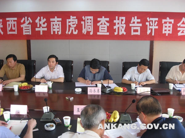 皇冠线上体育