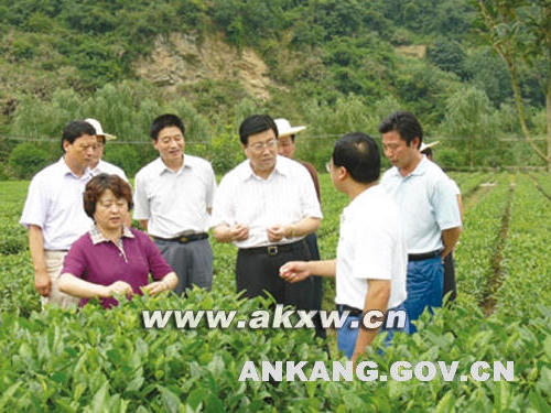 皇冠线上体育