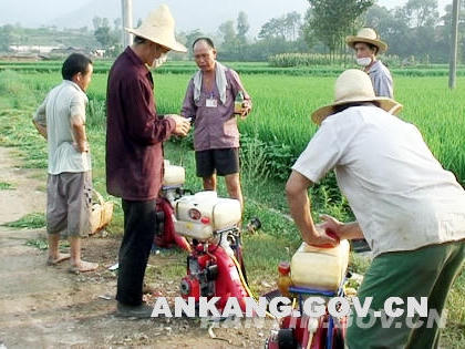 皇冠线上体育