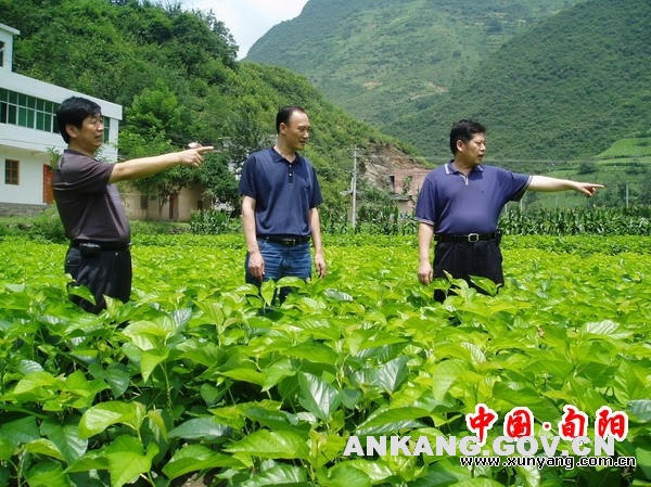 皇冠线上体育