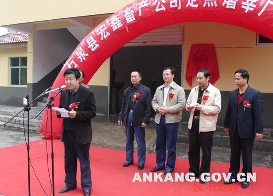 皇冠线上体育