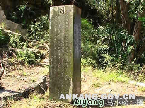 皇冠线上体育