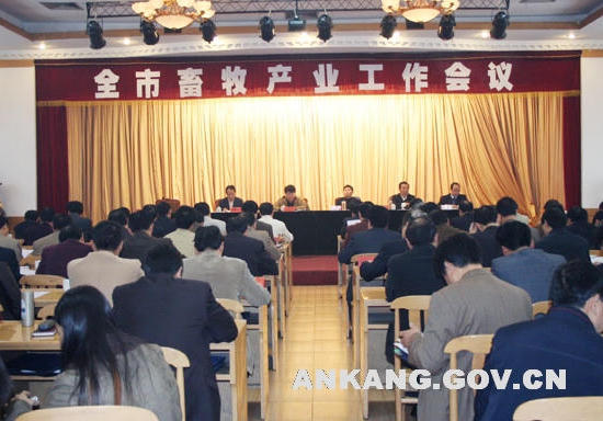 皇冠线上体育
