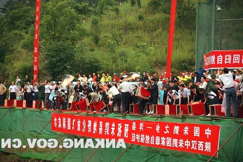 皇冠线上体育