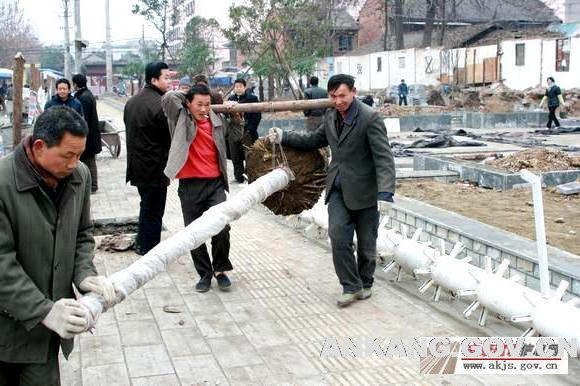 皇冠线上体育