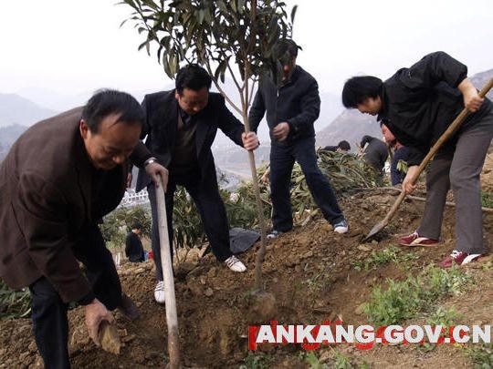 皇冠线上体育