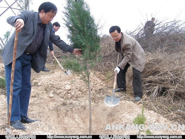 皇冠线上体育