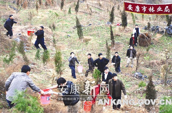 皇冠线上体育