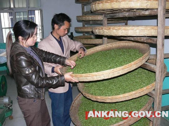 皇冠线上体育