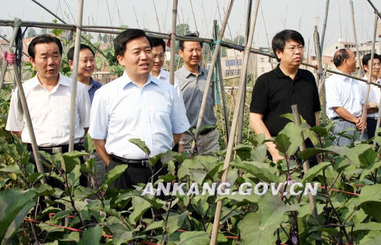 皇冠线上体育