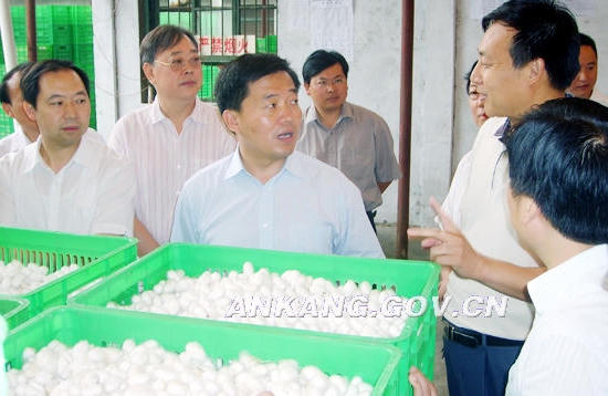 皇冠线上体育