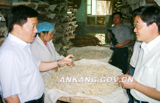 皇冠线上体育