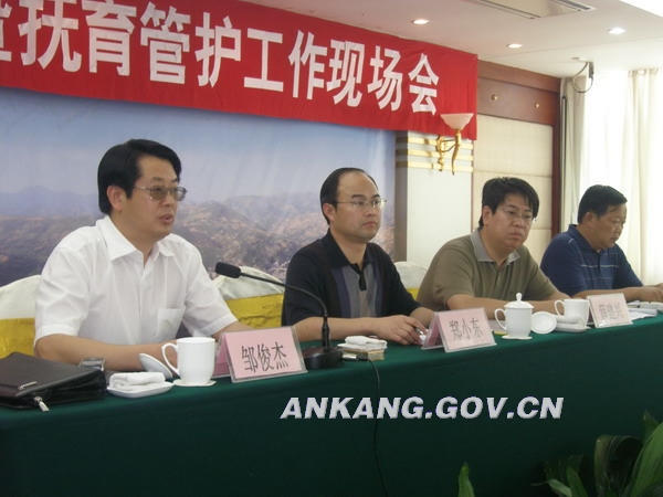 皇冠线上体育