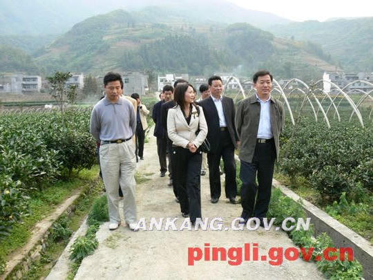 皇冠线上体育