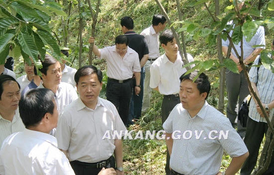 皇冠线上体育